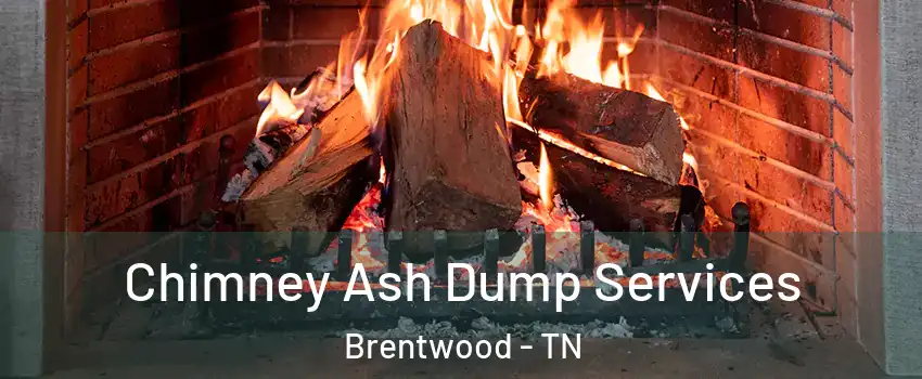  Chimney Ash Dump Services Brentwood - TN
