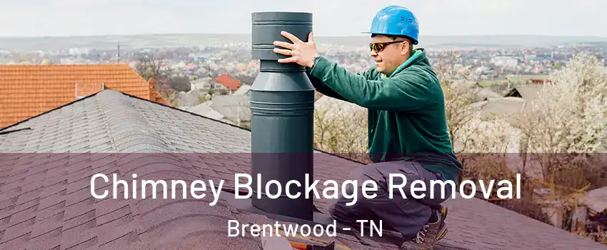  Chimney Blockage Removal Brentwood - TN