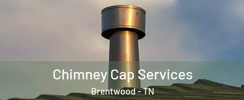  Chimney Cap Services Brentwood - TN