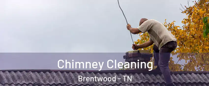  Chimney Cleaning Brentwood - TN