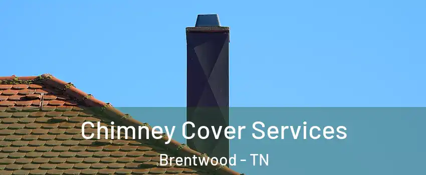  Chimney Cover Services Brentwood - TN