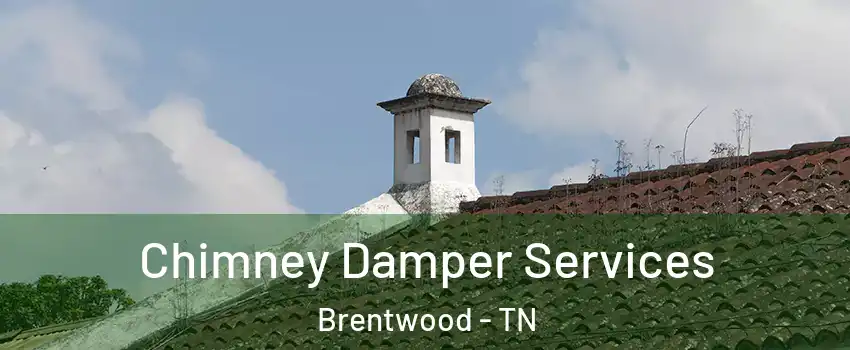  Chimney Damper Services Brentwood - TN