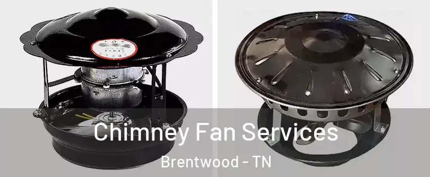  Chimney Fan Services Brentwood - TN
