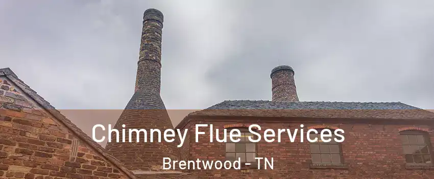  Chimney Flue Services Brentwood - TN