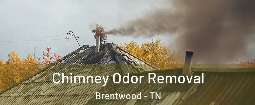  Chimney Odor Removal Brentwood - TN