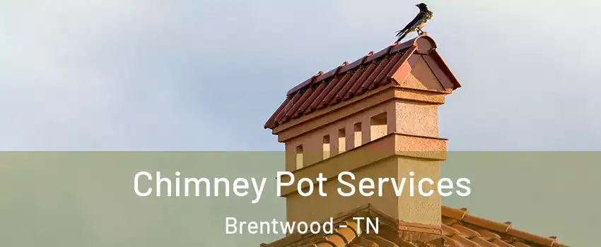  Chimney Pot Services Brentwood - TN