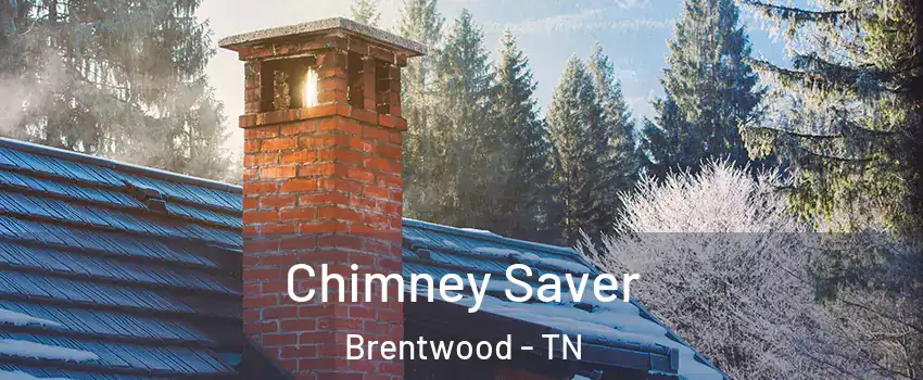 Chimney Saver Brentwood - TN