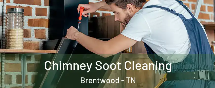  Chimney Soot Cleaning Brentwood - TN