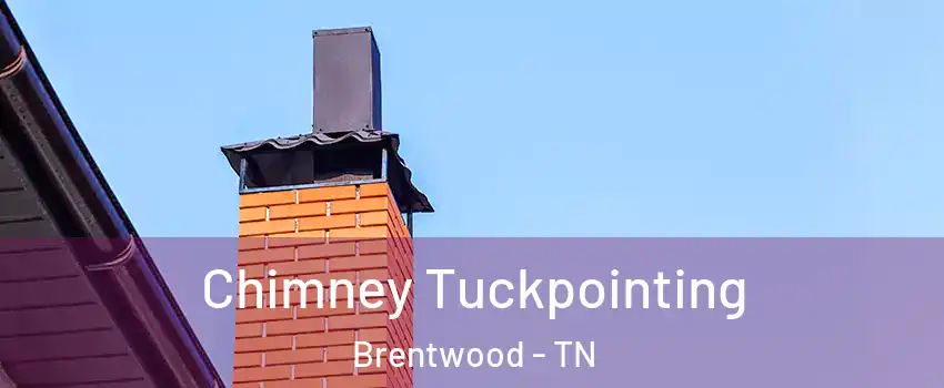  Chimney Tuckpointing Brentwood - TN
