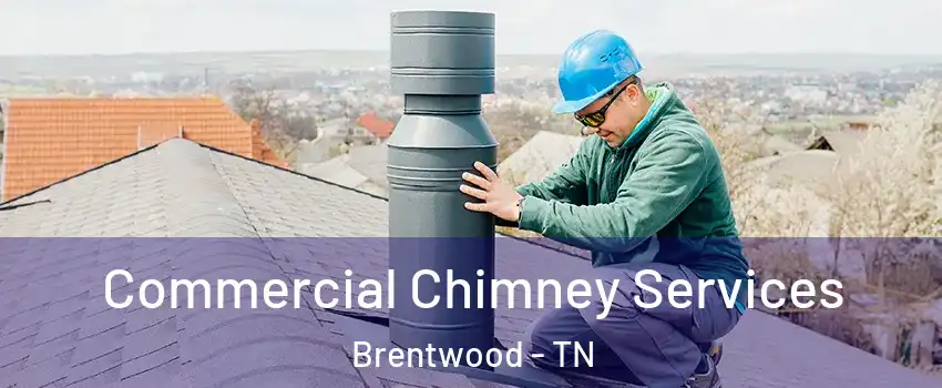  Commercial Chimney Services Brentwood - TN