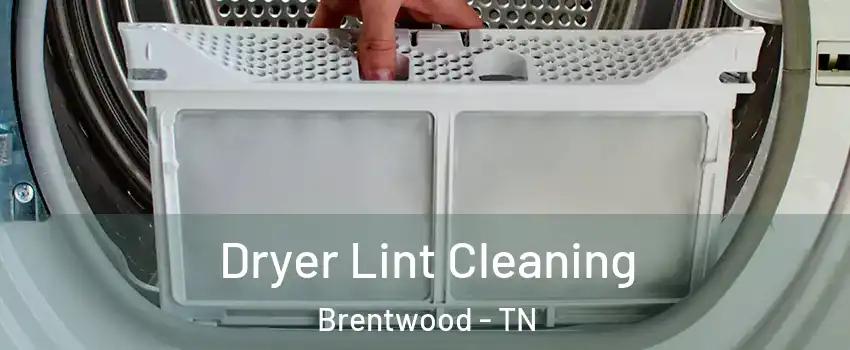  Dryer Lint Cleaning Brentwood - TN