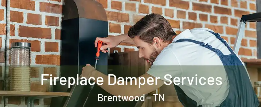  Fireplace Damper Services Brentwood - TN