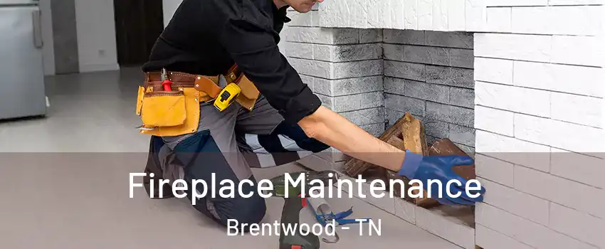  Fireplace Maintenance Brentwood - TN