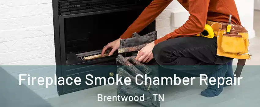  Fireplace Smoke Chamber Repair Brentwood - TN