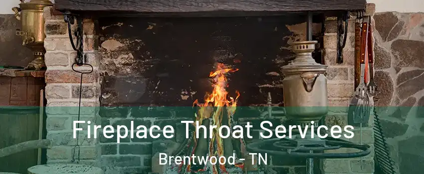  Fireplace Throat Services Brentwood - TN
