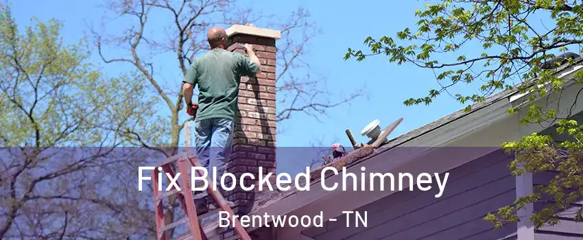 Fix Blocked Chimney Brentwood - TN