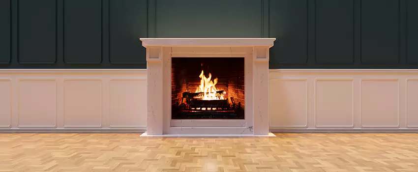Napoleon Electric Fireplaces Inspection Service in Brentwood, Tennessee