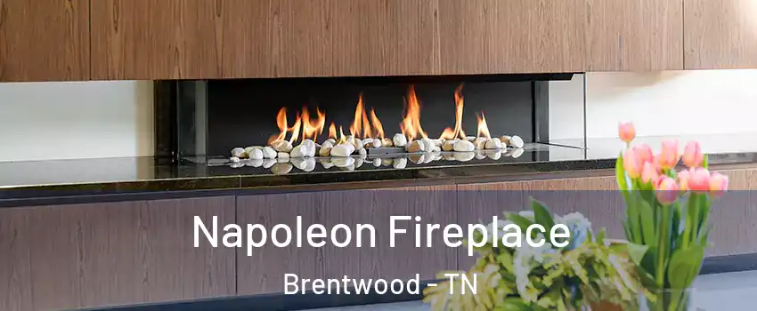  Napoleon Fireplace Brentwood - TN